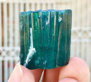 198 C.  T Top Quality Damage Terminated Indoculite Blue Tourmaline Crystal 2