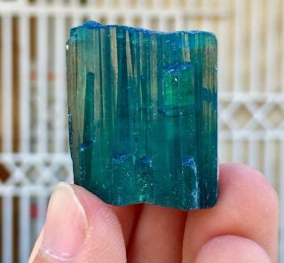 198 C.  T Top Quality Damage Terminated Indoculite Blue Tourmaline Crystal 3