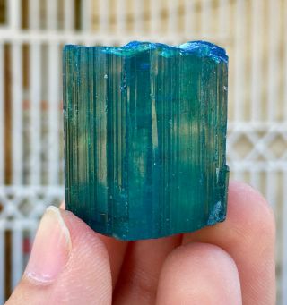 198 C.  T Top Quality Damage Terminated Indoculite Blue Tourmaline Crystal 4