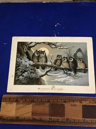 Victorian Christmas Card Owls