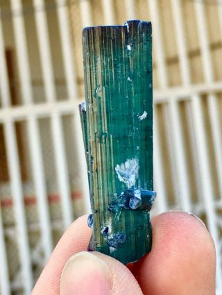 64 C.  T Top Quality Damage Terminated Indoculite Blue Tourmaline Crystal