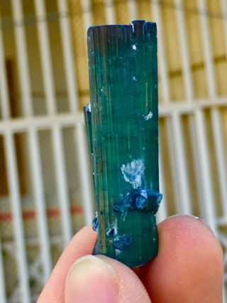 64 C.  T Top Quality Damage Terminated Indoculite Blue Tourmaline Crystal 2