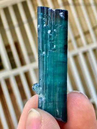 64 C.  T Top Quality Damage Terminated Indoculite Blue Tourmaline Crystal 4