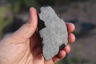 Muonionalusta Meteorite Etched Full Slice 94.  7 Grams