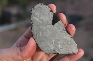Muonionalusta meteorite etched full slice 94.  7 grams 2