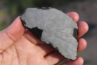 Muonionalusta meteorite etched full slice 94.  7 grams 3