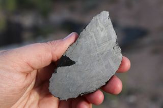 Muonionalusta meteorite etched full slice 94.  7 grams 4