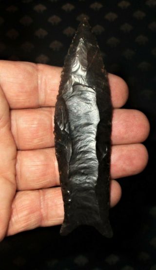 Killer Sonora Cumberland Arrowhead - Authentic Paleo Indian Artifact with 2 COAs 3