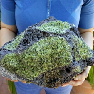 Large 11 Inch Gem Peridot Crystals With Chromium Diopside In Basalt