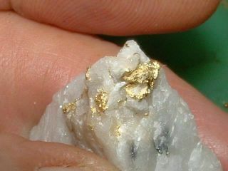 CALIFORNIA GOLD QUARTZ SPECIMEN NATURAL GOLD NUGGET 16.  7 GRAM GOLD IN QUARTZ 5