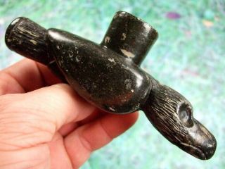 Fine 5 1/2 Inch Historic Period Bird Effigy Pipe With Arrowheads Artifacts