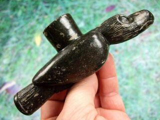Fine 5 1/2 inch Historic Period Bird Effigy Pipe with Arrowheads Artifacts 7