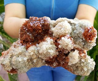 Very Fine World Class 5 3/4 Inch Bi Color Aragonite Crystal Cluster
