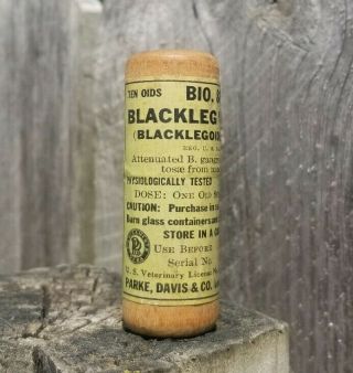 Vintage 1927 Blackleg Cattle Vaccine Wood Tube Vet Veterinarian -