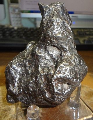 950 Gm.  Campo Del Cielo Meteorite ;aaa Grade Meteorite