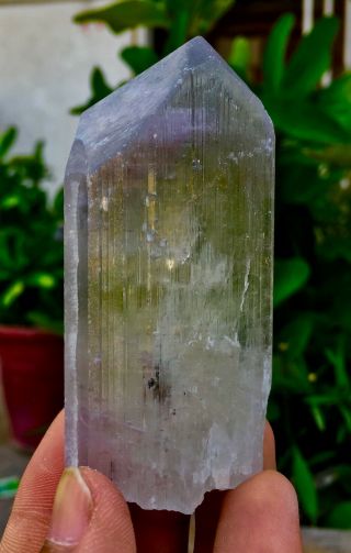 779 C.  T Top Quality Terminated Bi Color Kunzite Crystal @Afghanistan 2