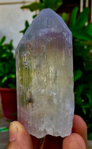 779 C.  T Top Quality Terminated Bi Color Kunzite Crystal @Afghanistan 3