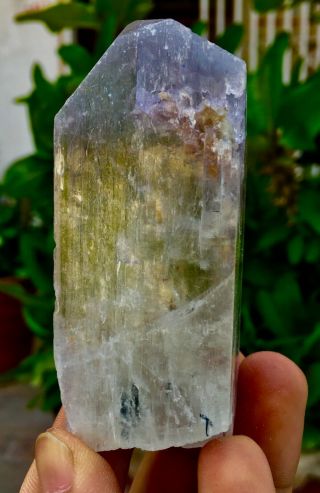 779 C.  T Top Quality Terminated Bi Color Kunzite Crystal @Afghanistan 4