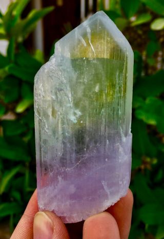Wow 453 C.  T Top Quality Terminated Bi Color Kunzite Crystal @afghanistan