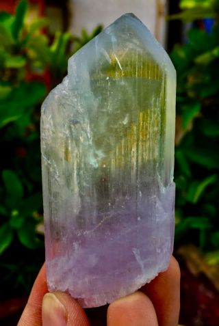 Wow 453 C.  T Top Quality Terminated Bi Color Kunzite Crystal @Afghanistan 2