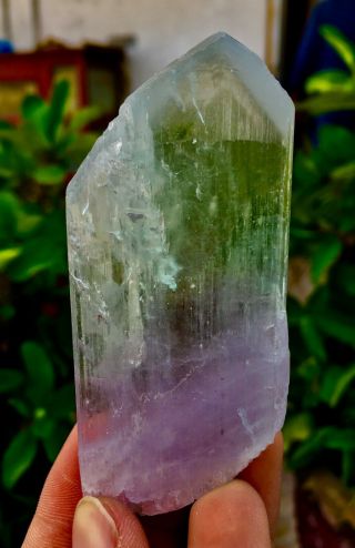 Wow 453 C.  T Top Quality Terminated Bi Color Kunzite Crystal @Afghanistan 3