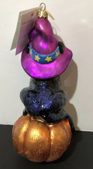 Christopher Radko Spell Bound Halloween Christmas Ornament 9.  5 Inches RARE 3
