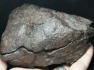 Meteorite - B8 - 2420 - 1294.  0g - METEORITE SPECIMEN - - NATURAL 9