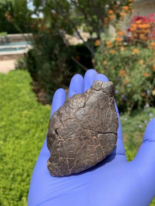 Meteorite NWA,  Unclassified 332.  28 Grams,  Fusion Crust 3
