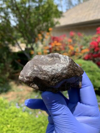 Meteorite NWA,  Unclassified 332.  28 Grams,  Fusion Crust 6
