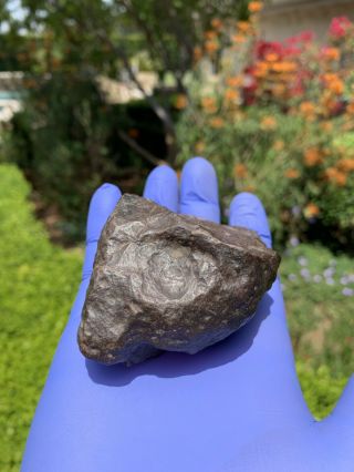 Meteorite NWA,  Unclassified 332.  28 Grams,  Fusion Crust 7