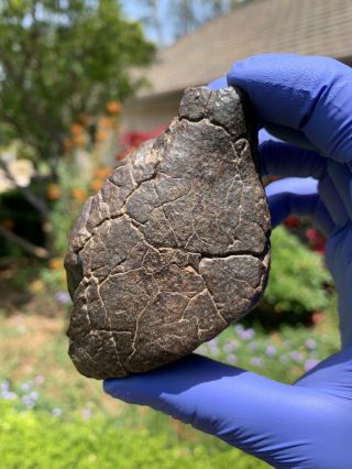 Meteorite NWA,  Unclassified 332.  28 Grams,  Fusion Crust 8