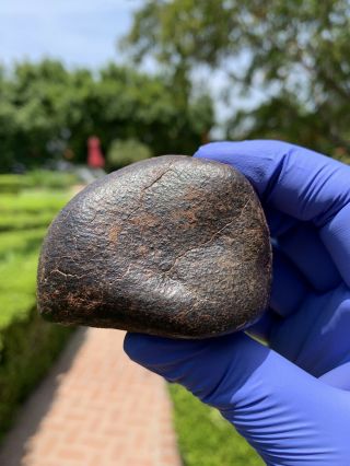 Meteorite Nwa,  Unclassified 253.  43 Grams,  Fusion Crust