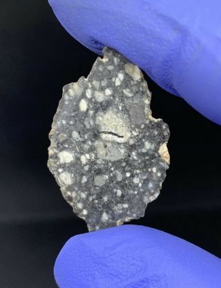 Meteorite Lunar Feldspathic Breccia,  Nwa 1.  49 Gram Museum Quality Slice