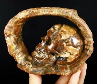 5.  9 " Petrified Wood Carved Crystal Skull Inside Sculpture,  Healing