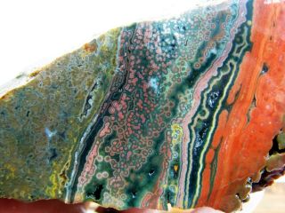Ocean Jasper Rough From Madagascar Face Cut For Cabbing And Polishing