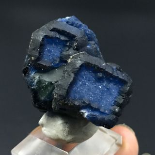 51gamazing Rare Natural Indigo Fluorite Crystal Based On The White Quartz/china