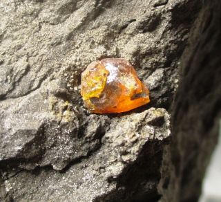 8 Mm Cretaceous Amber Droplet In Matrix - Hell Creek Fm,  Sd Fossil