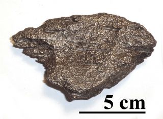 Meteorite,  Ataxite Dronino,  Russia,  Complete Sandblasted Piece,  418 Grams