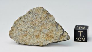 Meteorite Vinales,  Chondrite L6,  fell on Cuba,  Feb.  1,  2019.  6.  24 g slice 2