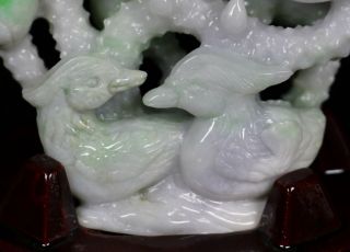 Cert ' d Untreated Lavender Nature jadeite Jade Statue lotus Mandarin duck 80831Q 4