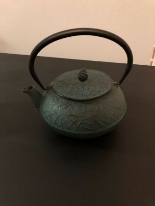 Cast - Iron Japanese Green Tea Pot With Insert