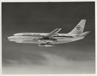 Large Vintage Photo - Cameroon Airlines Boeing 737 Tj - Cba In - Flight