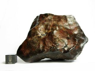 Nwa X Meteorite 444.  28g Beautifully Regmaglypted Space Rock