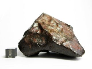 NWA x Meteorite 444.  28g Beautifully Regmaglypted Space Rock 2