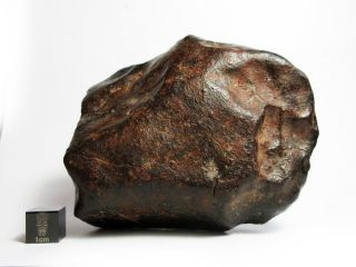 NWA x Meteorite 444.  28g Beautifully Regmaglypted Space Rock 3