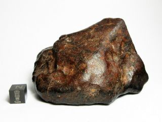NWA x Meteorite 444.  28g Beautifully Regmaglypted Space Rock 5