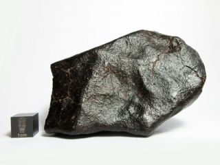 NWA x Meteorite 444.  28g Beautifully Regmaglypted Space Rock 7