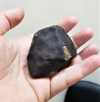 Vinales Meteorite Huge 253.  5 grams Chondrite L6 Viñales Cuba Fall 2/1/19 2