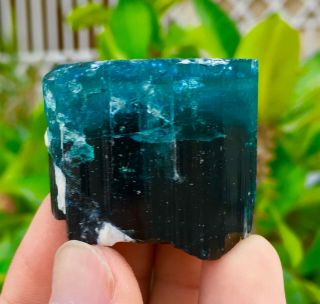400 C.  T Top Quality Damage Terminated Bi Color Blue Cap Tourmaline Crystal 3