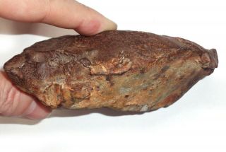 Iron meteorite,  Ataxite,  Gebel Kamil,  Egypt,  1963 grams 3